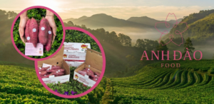 khoai lang nhật chuẩn xuất khẩu từ anh đào food