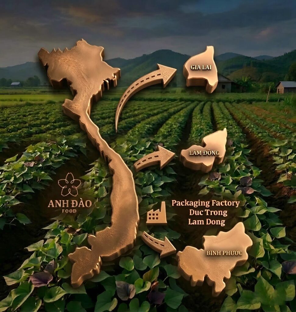 bản đồ nông sản khoai lang anh đào food