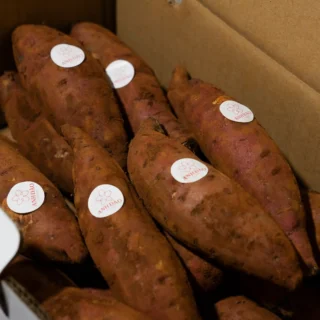 khoai lang mật tà nung