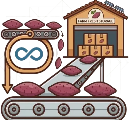 chứng nhận khoai lang sỉ